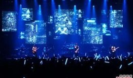 新闻爆料演唱会粉丝,共襄盛举打造难忘之夜